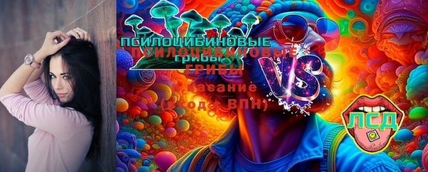 mdpv Аркадак