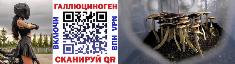 Галлюциногенные грибы мухоморы  Мантурово 
